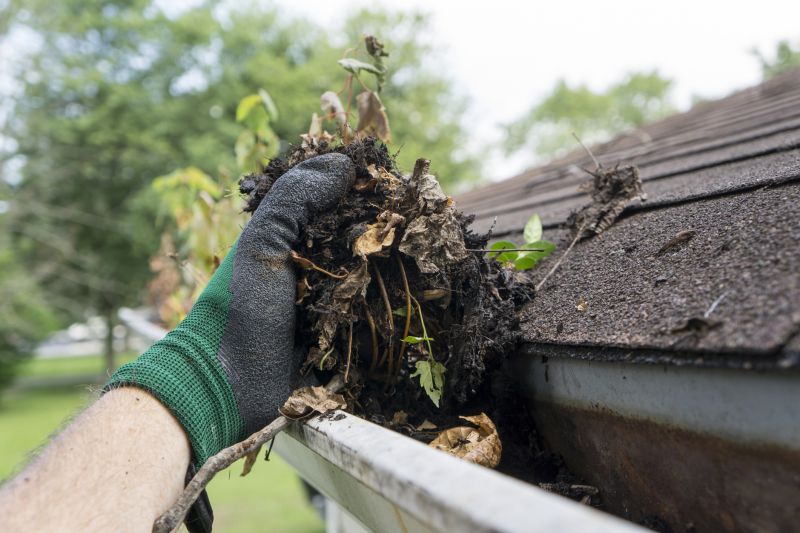 Removing Debris from Gutters